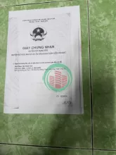Bán đất thổ cư mặt tiền đường Kênh 3, Đức Hòa, Long An