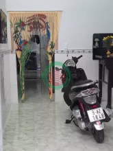 BÁN NHÀ MỚI HẺM XE HƠI ĐƯỜNG TRƯƠNG ĐÌNH HỘI – PHƯỜNG PHÚ ĐỊNH, TP.HCM
