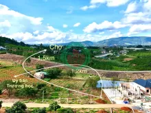 Cần Bán Đất 324m² Có 256m² Thổ Cư, Mặt Tiền 12m, Sẵn Hạ Tầng Xây Nhà
