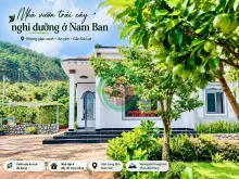Cần Bán Nhà Đất 987m² Có Sẵn Nhà Cấp 4, Giáp Đồi Thông, Giá 4,7 Tỷ