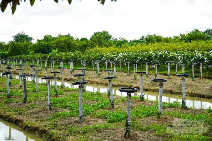 Bán thửa đất khủng mặt tiền QL61C Phong Điền Cần Thơ, Xã Nhơn Ái, Thành phố Cần Thơ