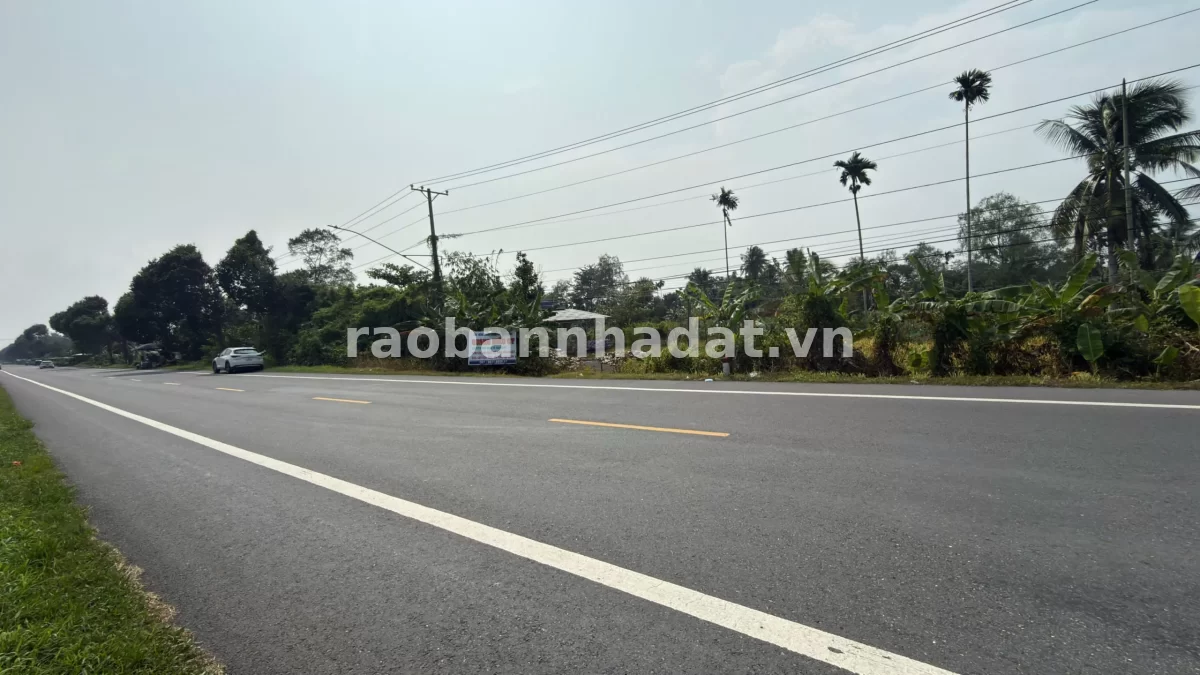 Kẹt Tiền Bán Gấp Lô Đất Vườn Lộ Bê Tông 4m Ấp Nhơn Thuận Phong Điền, Xã Nhơn Ái, Thành phố Cần Thơ