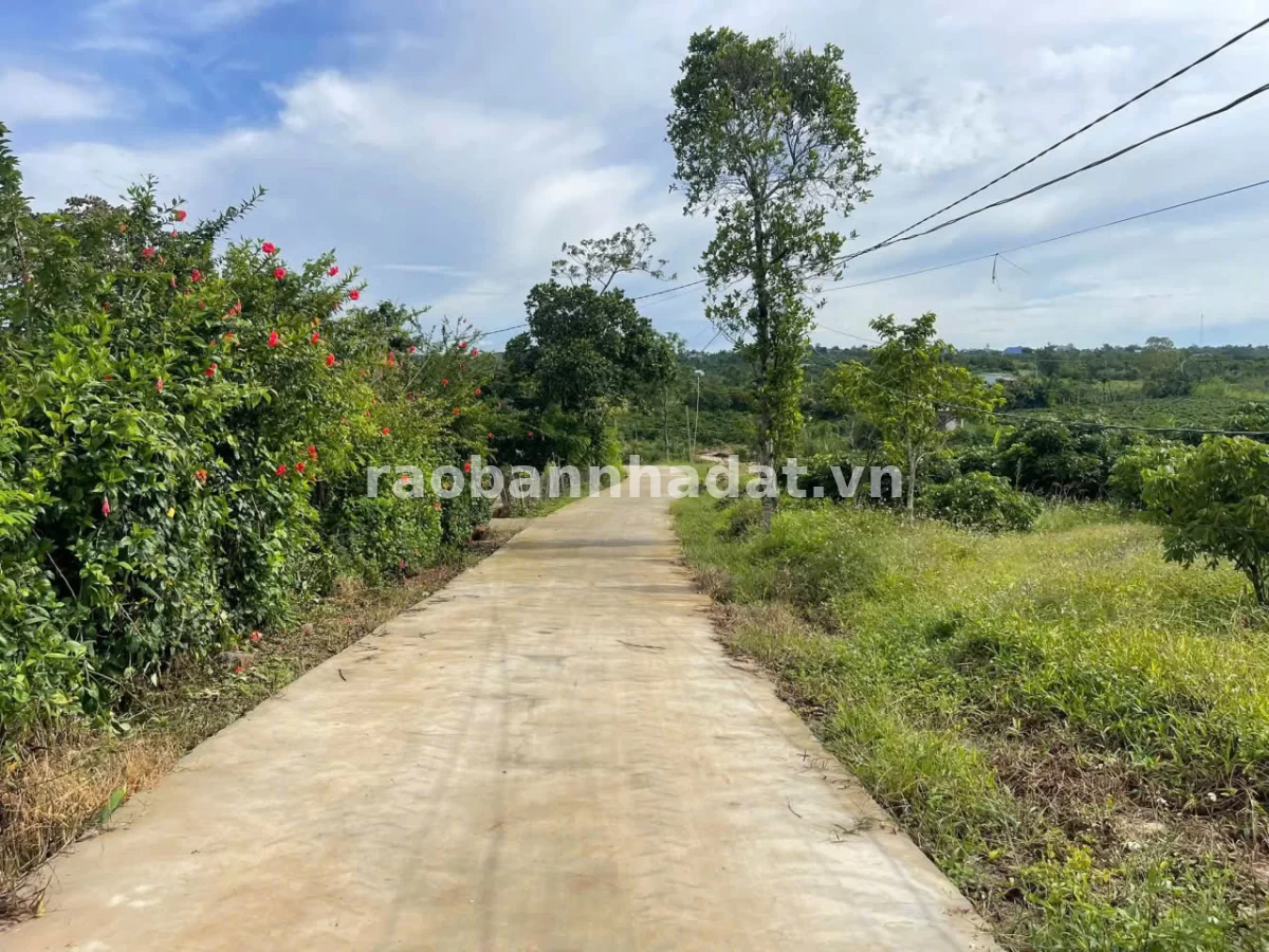 Đất đẹp Xuân Phú, Ea Kar, Đắk Lắk - 200m2 full thổ cư - Cách Quốc lộ 29 chỉ 150m - Giá 189 triệu, Phường Cầu Giấy, Thành…