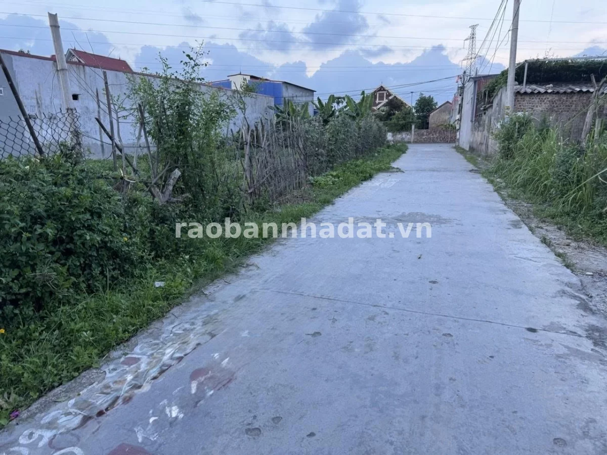 Chính chủ bán lô đất 60m2 tại Hoàng Lâu, Hồng Phong, An Dương, Hải Phòng - Giá 1,66 tỷ, Phường Cầu Giấy, Thành phố Hà Nội
