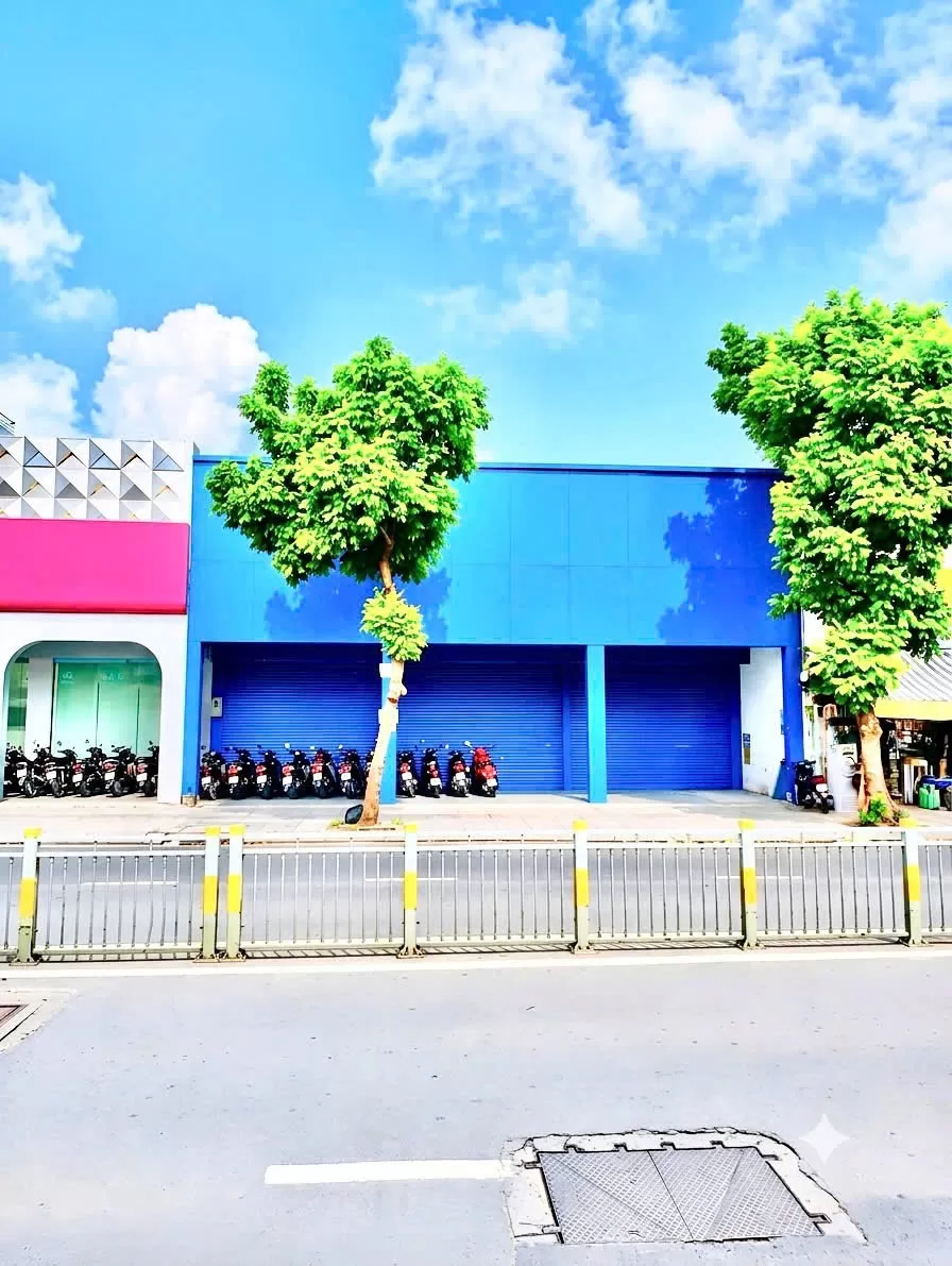 Cho thuê nhà: 474 Lũy Bán Bích, Phường Hòa Thạnh – Tân Phú, Phường Tân Phú, Thành phố Hồ Chí Minh