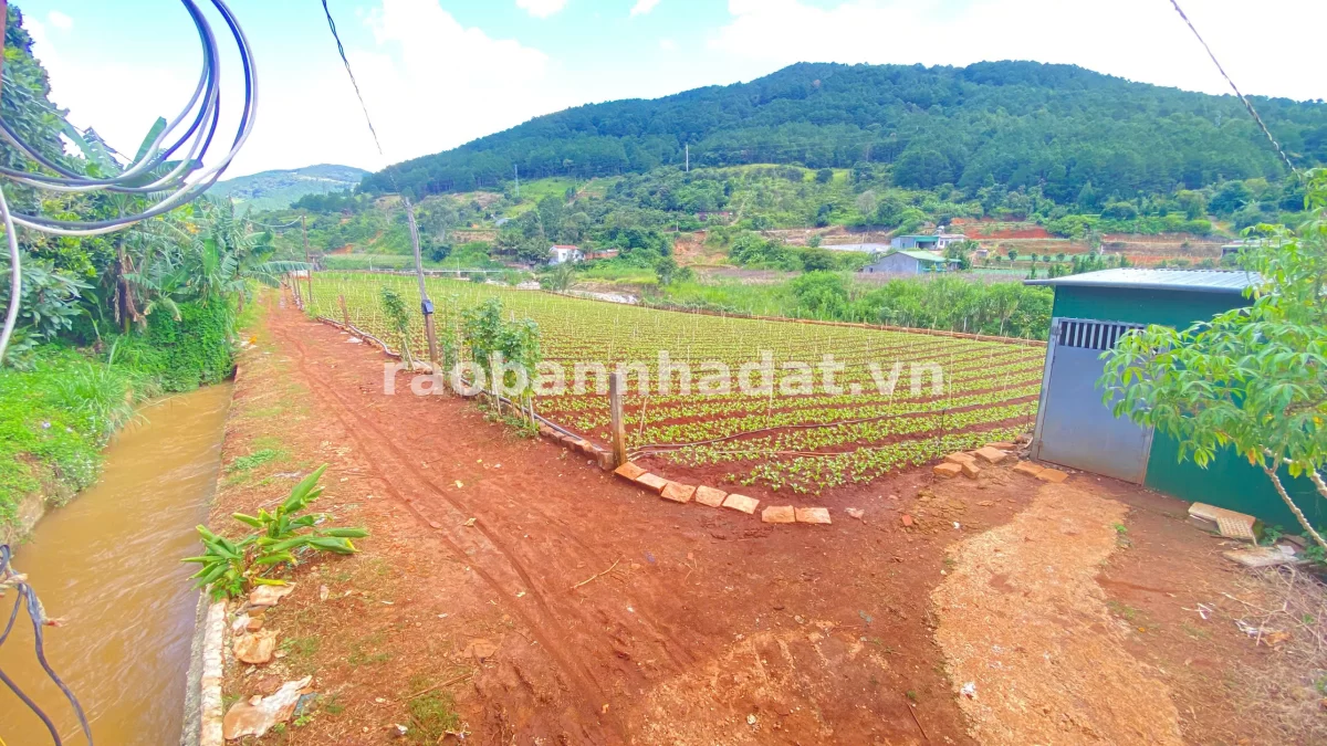 Bán 3 sào hẻm ql20, trung hiệp, hiệp an - lâm đồng, Xã Hiệp Thạnh, Lâm Đồng