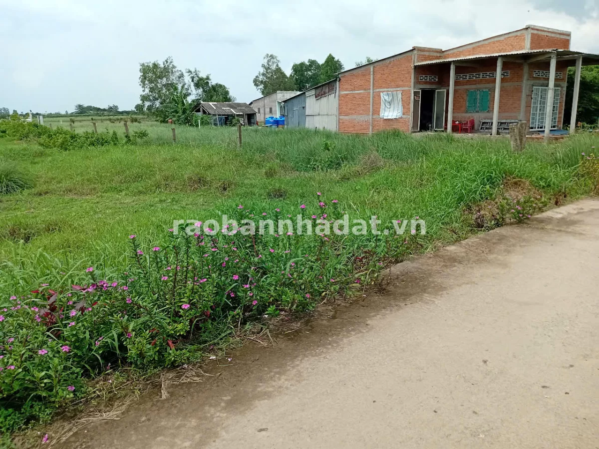 Bán đất trung tâm xã Phú Thạnh 1286m² có 300m² thổ cư, đường Cả Thu xe hơi tới đất, Xã Phú Thành, Đồng Tháp
