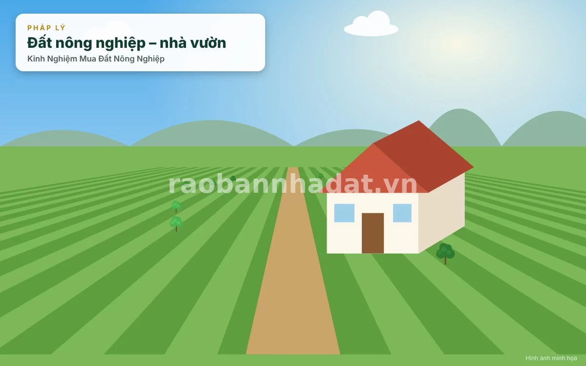 Khu đất vườn cây ăn trái rộng lớn, xanh mướt biểu trưng cho phân khúc đất nông nghiệp