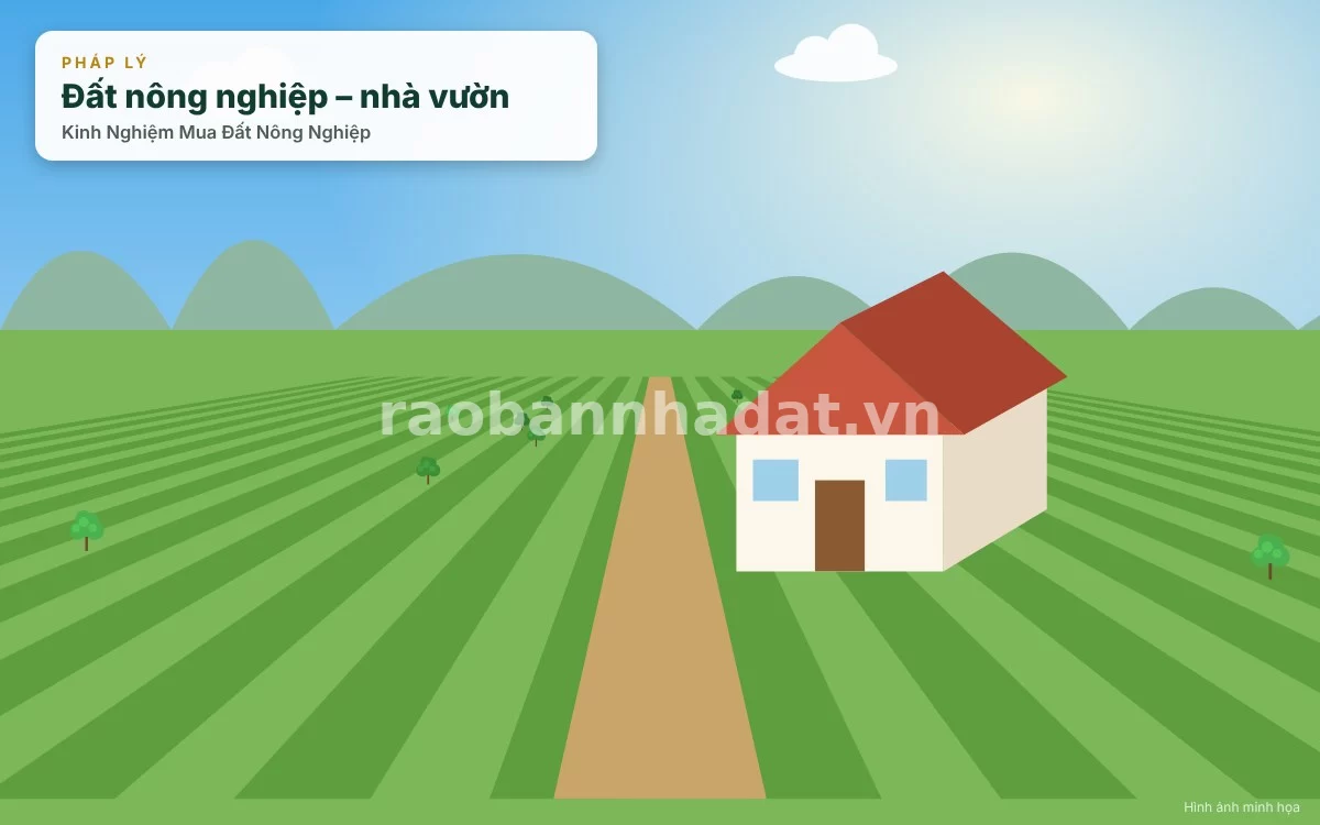 Chuyên gia bất động sản đang tư vấn chiến lược đầu tư đất nông nghiệp và kiểm tra quy hoạch cho khách hàng